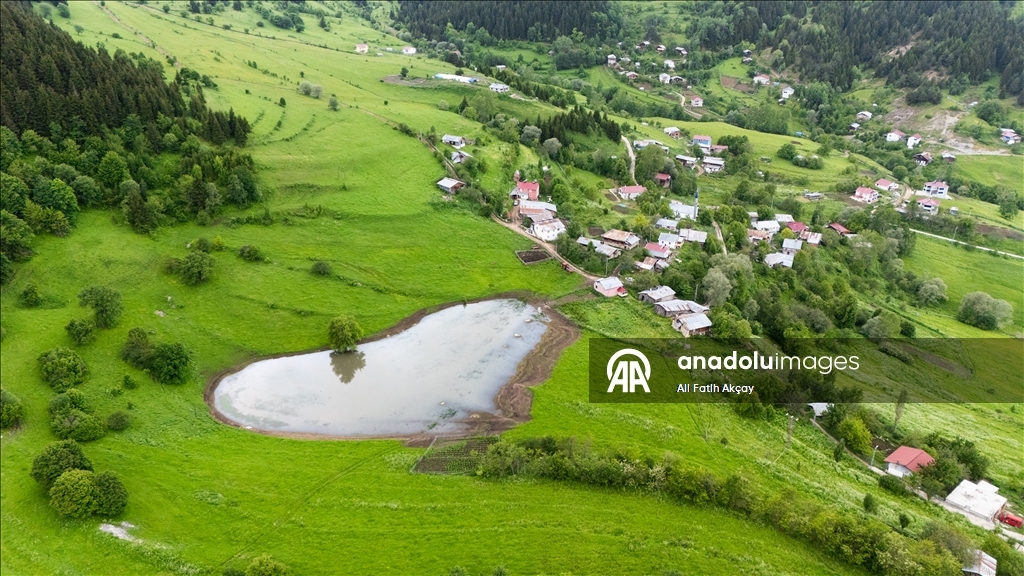 Artvin’in yaylaları yeşilin farklı tonlarıyla doğaseverleri ağırlıyor