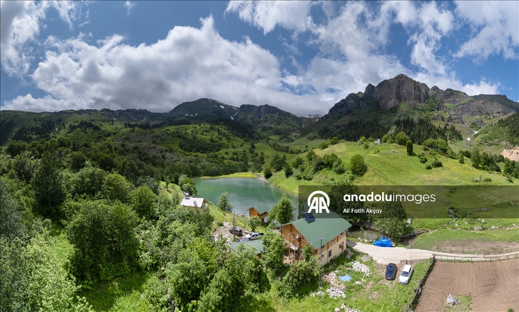 Artvin’in yaylaları yeşilin farklı tonlarıyla doğaseverleri ağırlıyor