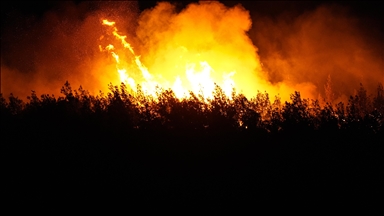 İzmir'in Aliağa ilçesinde çıkan orman yangınına müdahale sürüyor