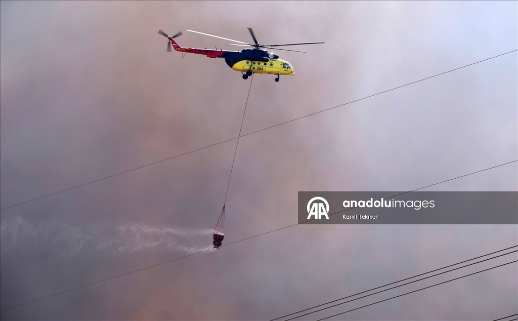 İzmir Bornova'da tarım arazisinde başlayan yangın ormana sıçradı