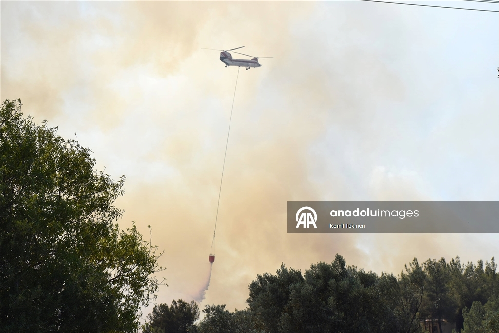 İzmir Bornova'da tarım arazisinde başlayan yangın ormana sıçradı