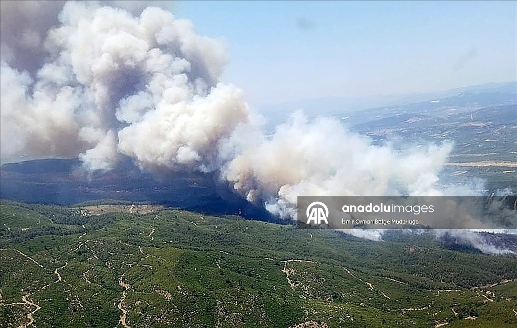 Manisa'nın Akhisar ilçesinde orman yangını çıktı