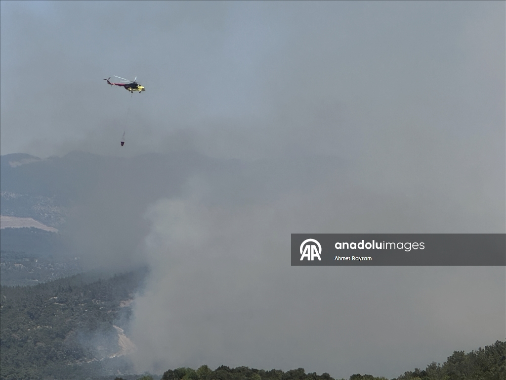 Manisa'nın Akhisar ilçesinde orman yangını çıktı