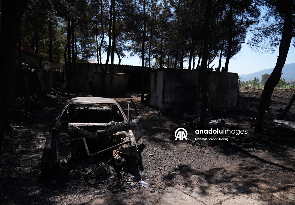 İzmir Bornova'da yanan ormanlık alan görüntülendi
