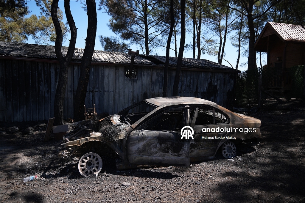İzmir Bornova'da yanan ormanlık alan görüntülendi