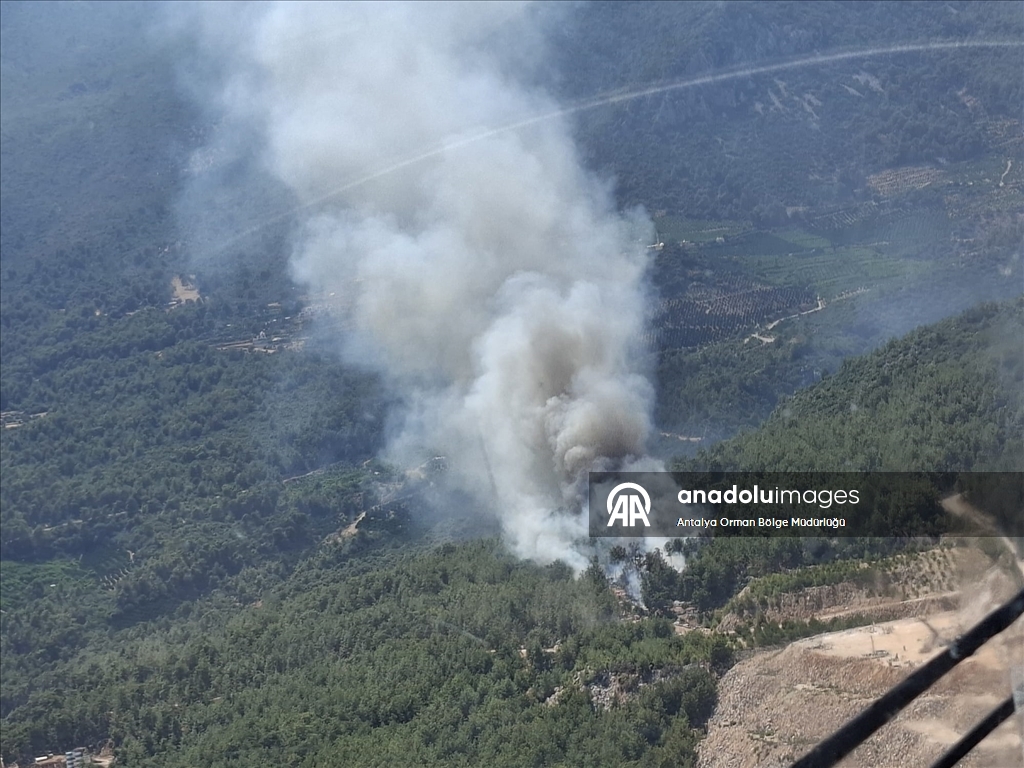 Antalya'nın Finike ilçesinde orman yangını çıktı