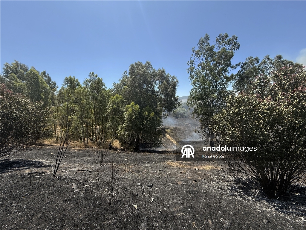İzmir'de iki ilçede otluk alanda çıkan yangın kontrol altına alındı