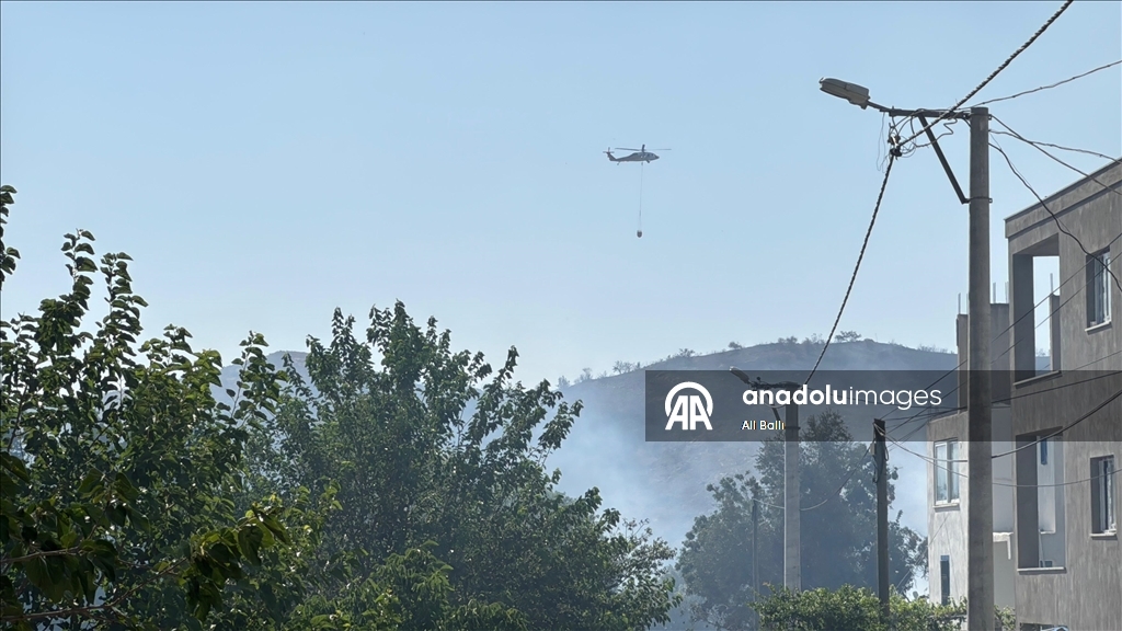 Bodrum'da makilik alanda çıkan ve rüzgarla yayılan yangına müdahale ediliyor