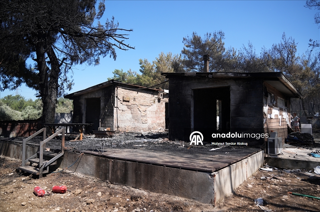 İzmir Bornova'da yanan ormanlık alan görüntülendi
