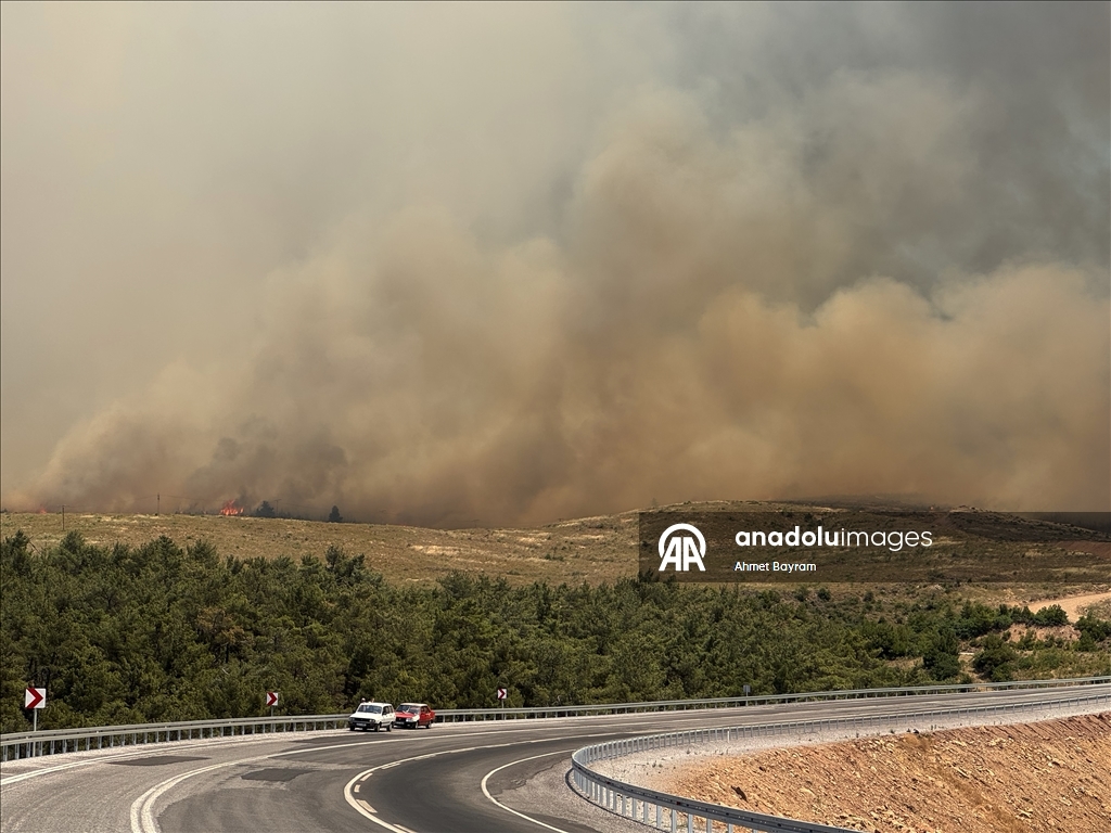 Manisa'nın Akhisar ilçesinde orman yangını çıktı