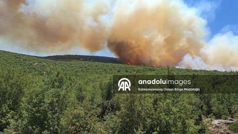 Gaziantep'te çıkan orman yangına müdahale ediliyor