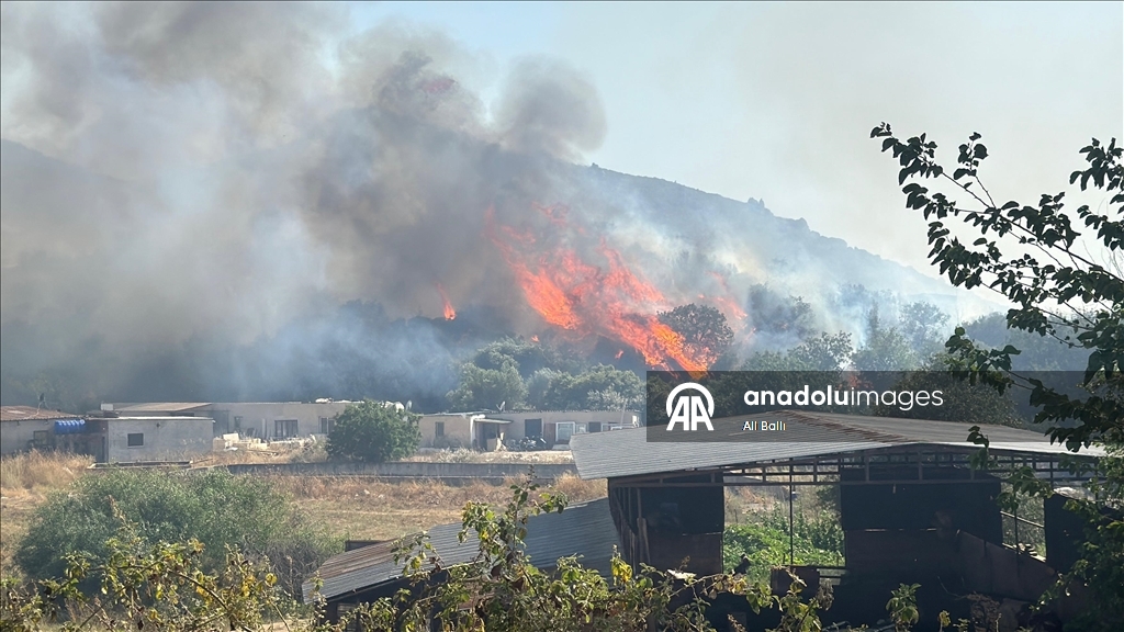 Bodrum'da makilik alanda çıkan ve rüzgarla yayılan yangına müdahale ediliyor