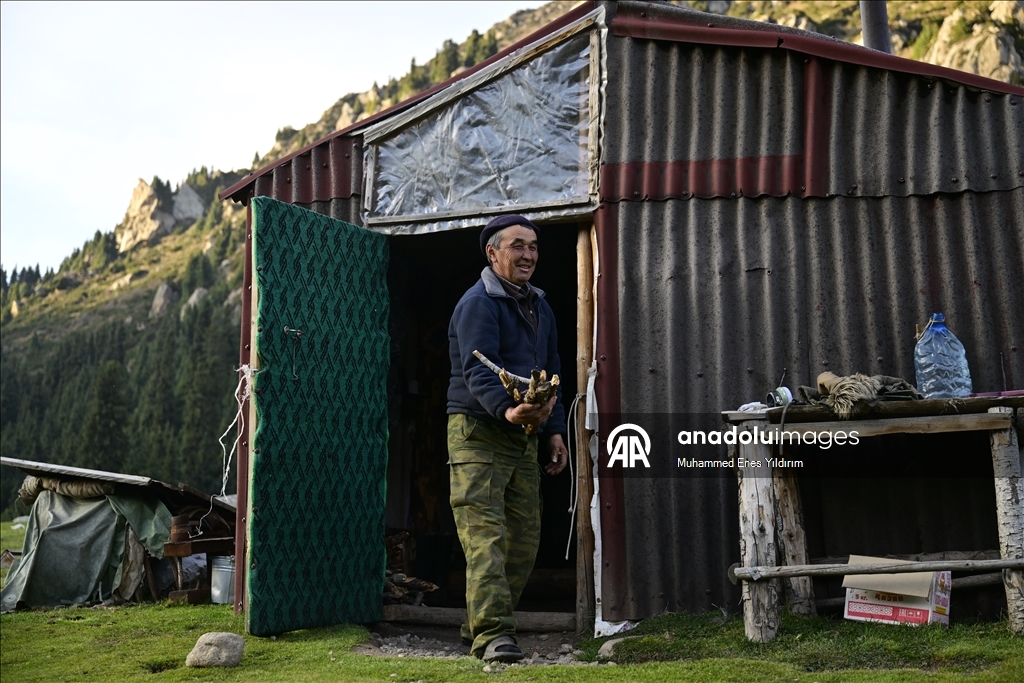 Duran ailesi, Orta Asya turunda "Göçebe" ile atalarının izini sürdü