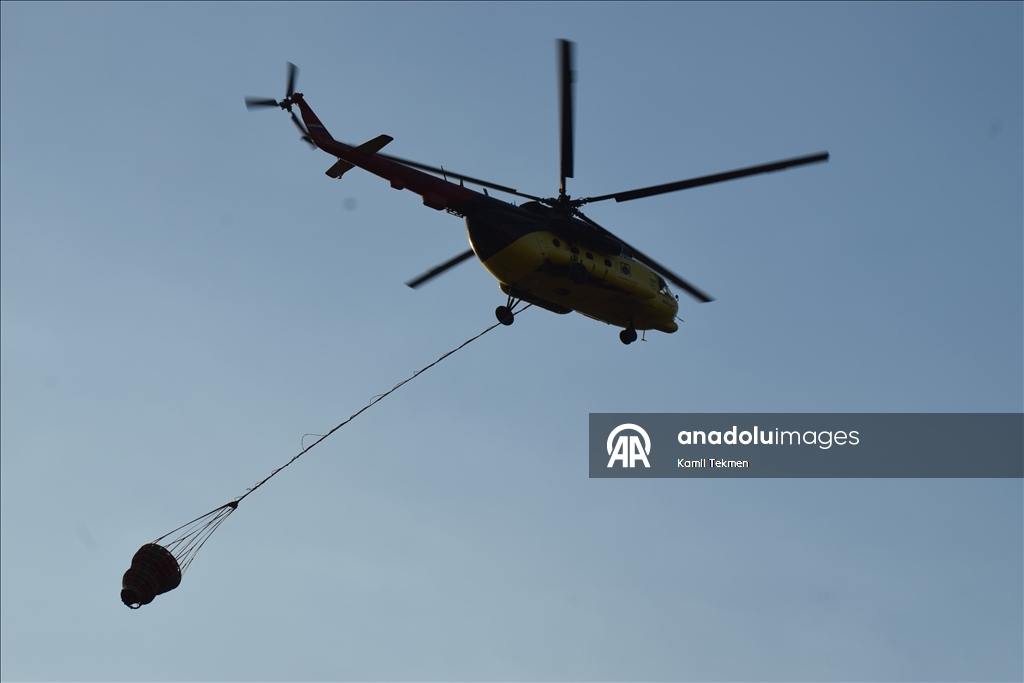 Manisa'nın Ahmetli ilçesinde çıkan orman yangınına müdahale ediliyor