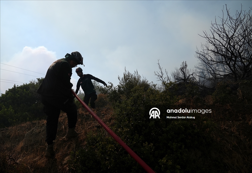 İzmir'in Menderes ve Seferihisar ilçelerinde çıkan orman yangınlarına müdahale sürüyor