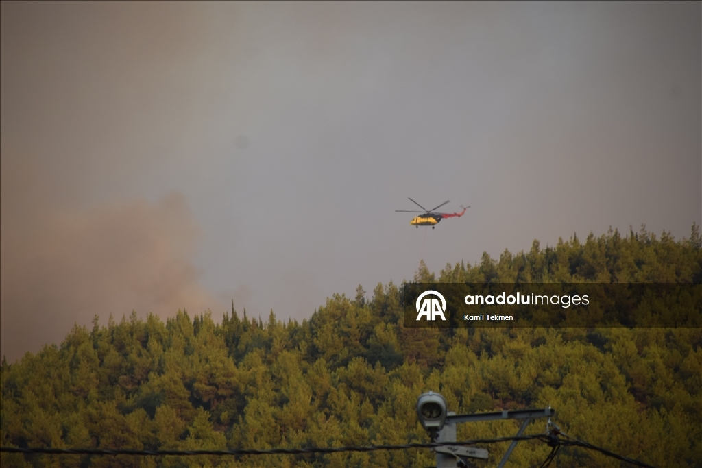 Manisa'nın Ahmetli ilçesinde çıkan orman yangınına müdahale ediliyor