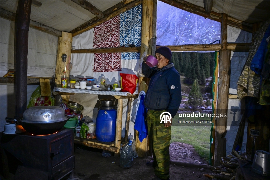 Duran ailesi, Orta Asya turunda "Göçebe" ile atalarının izini sürdü