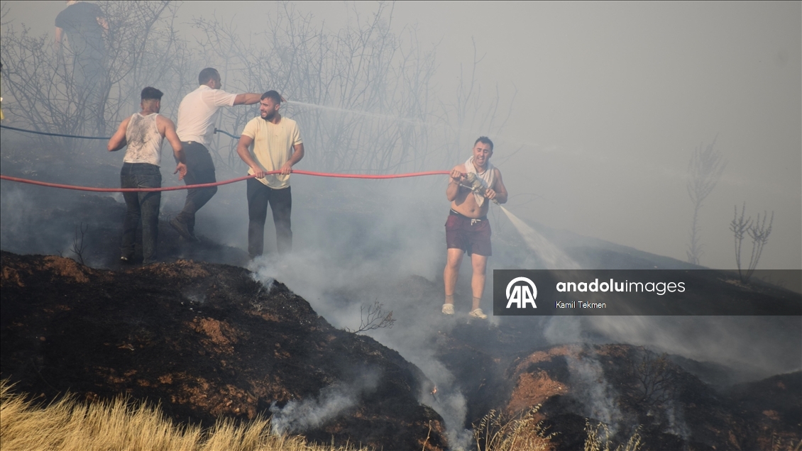 Manisa'nın Ahmetli ilçesinde çıkan orman yangınına müdahale ediliyor