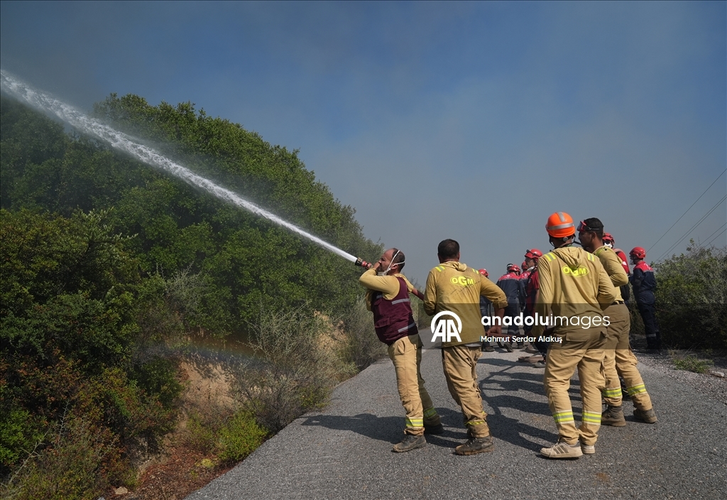 İzmir'in Menderes ve Seferihisar ilçelerinde çıkan orman yangınlarına müdahale sürüyor