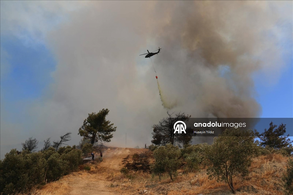 Hatay'da dün çıkan orman yangınına müdahale sürüyor