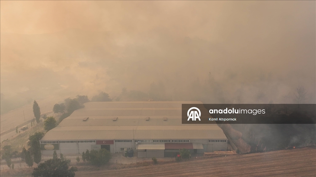Manisa'da 3 ilçedeki orman yangınlarına müdahale sürüyor