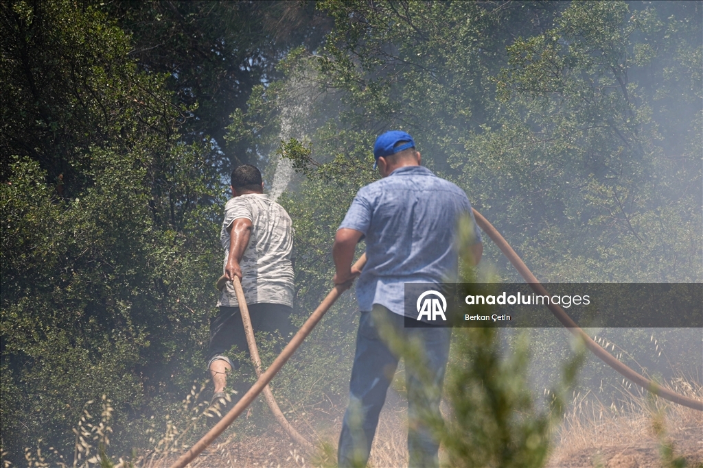Manisa'da mahalle sakinleri orman yangınının evlerine ulaşmaması için seferber oldu