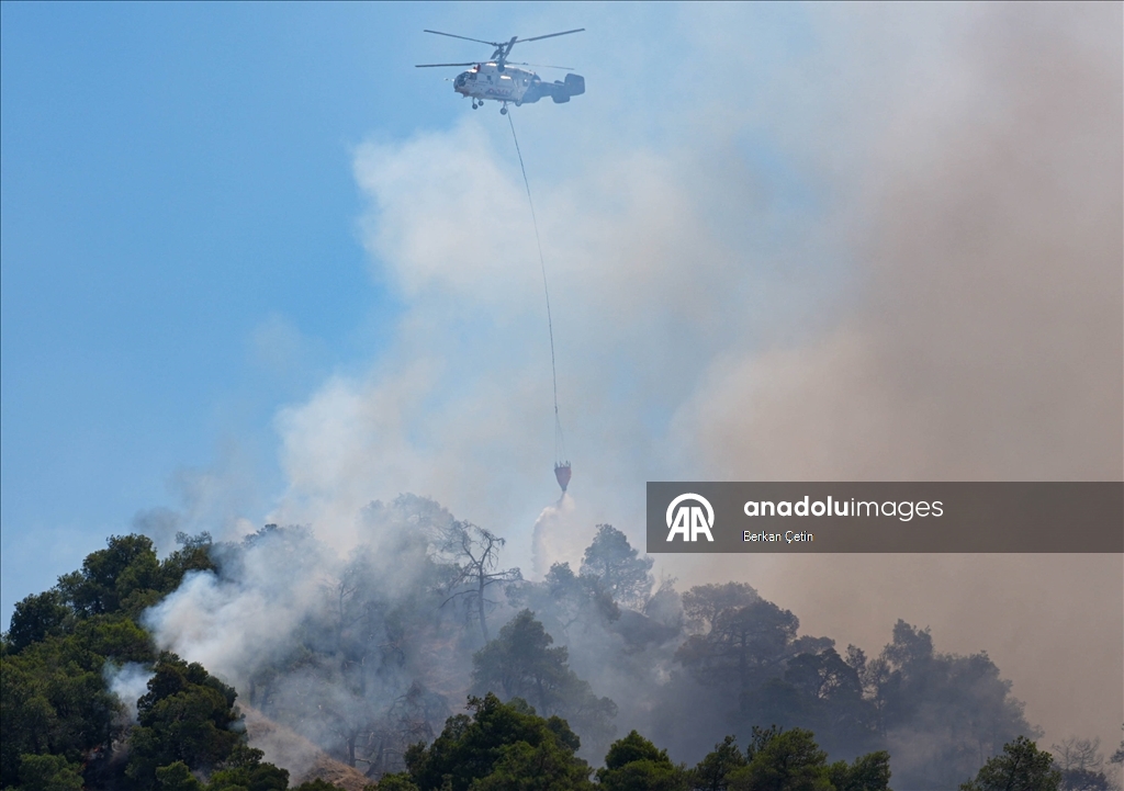 Manisa'da 3 ilçedeki orman yangınlarına müdahale sürüyor