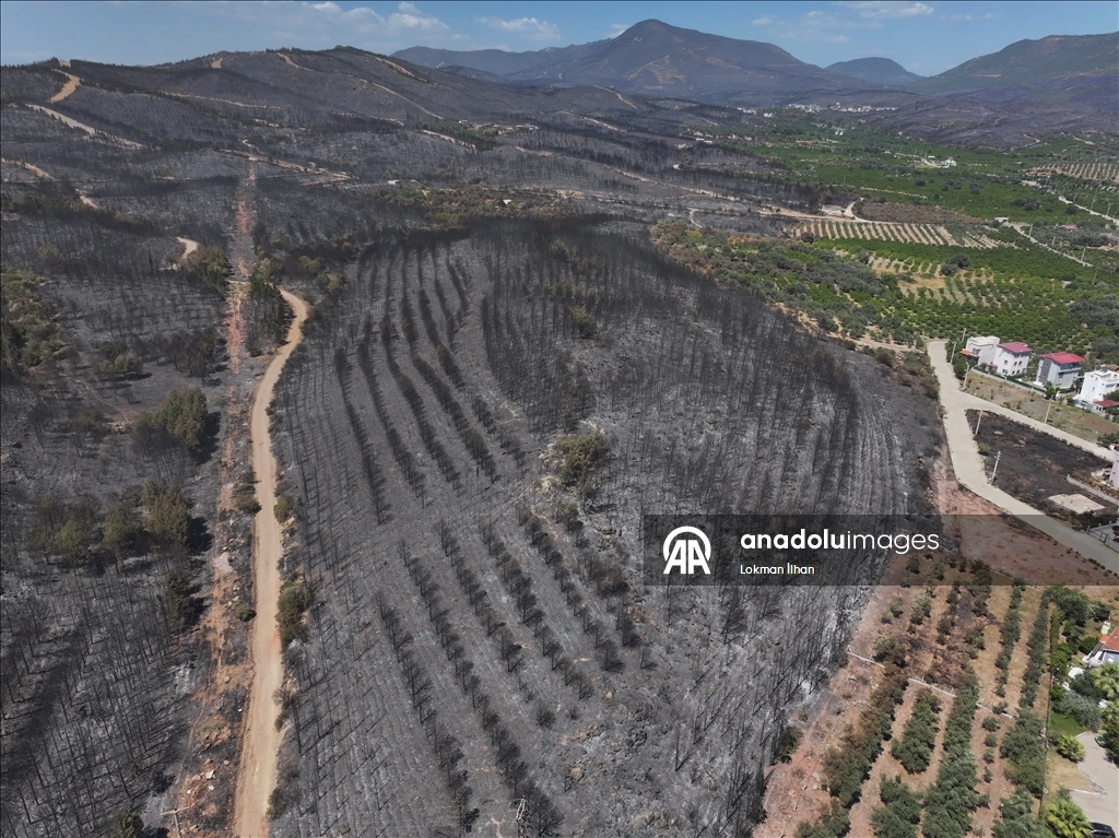 İzmir'deki orman yangınından etkilenen bölgeler