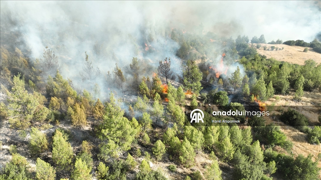 Manisa'da 3 ilçedeki orman yangınlarına müdahale sürüyor