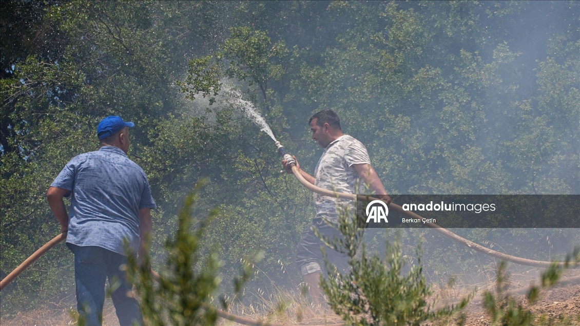 Manisa'da mahalle sakinleri orman yangınının evlerine ulaşmaması için seferber oldu