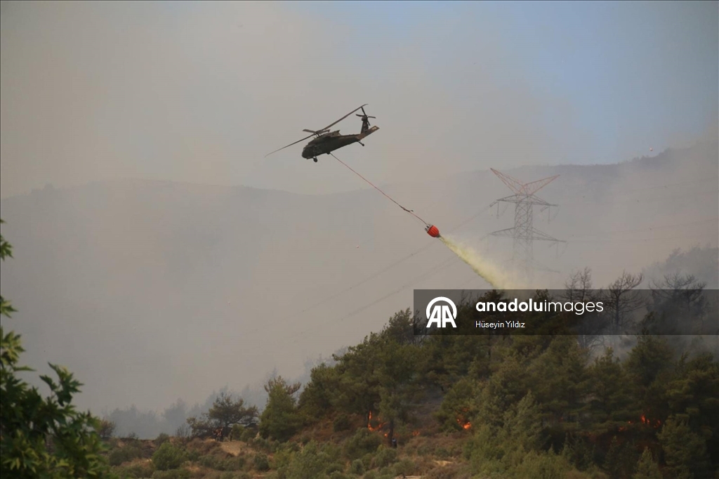 Hatay'da dün çıkan orman yangınına müdahale sürüyor