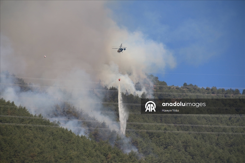 Hatay'da dün çıkan orman yangınına müdahale sürüyor