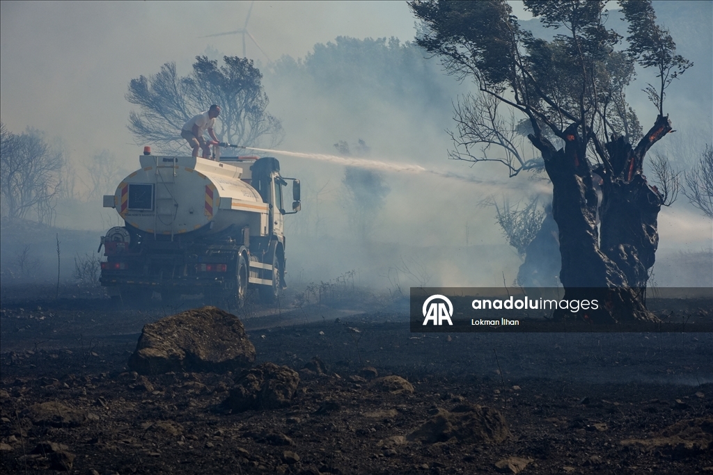 İzmir'de makilik alanda çıkan yangına müdahale ediliyor