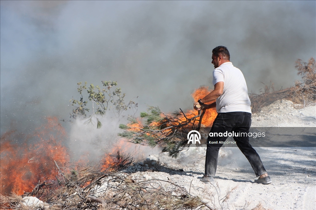 Manisa'da 3 ilçedeki orman yangınlarına müdahale sürüyor