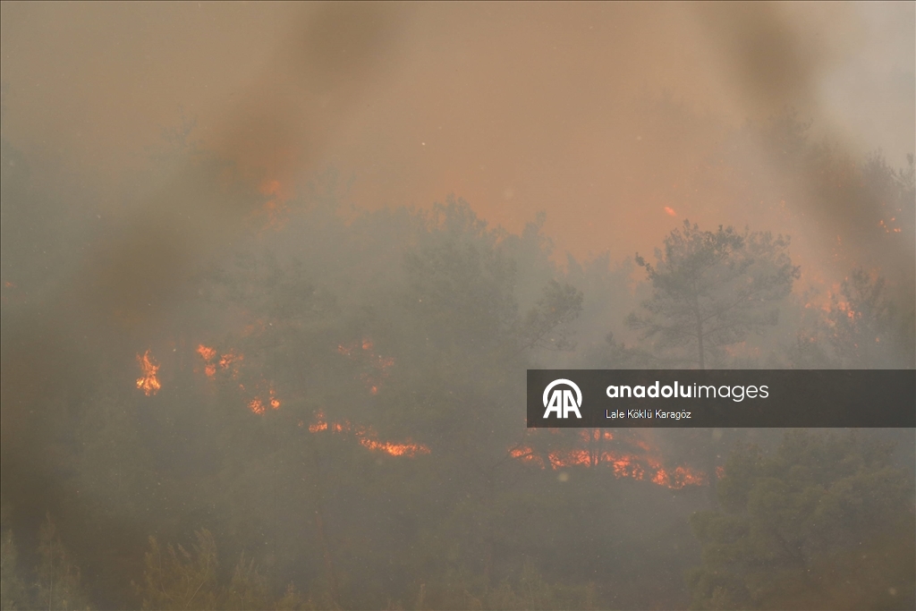 Hatay'da devam eden orman yangınına müdahale sürüyor