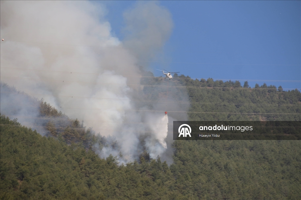 Hatay'da dün çıkan orman yangınına müdahale sürüyor