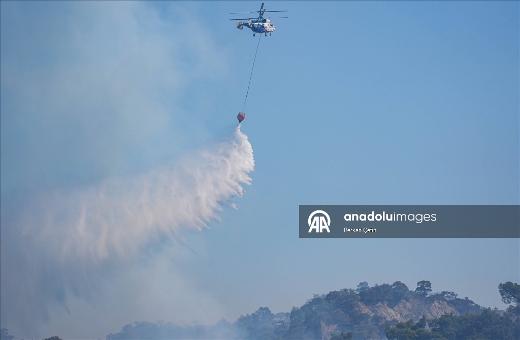 Manisa'da 3 ilçedeki orman yangınlarına müdahale sürüyor
