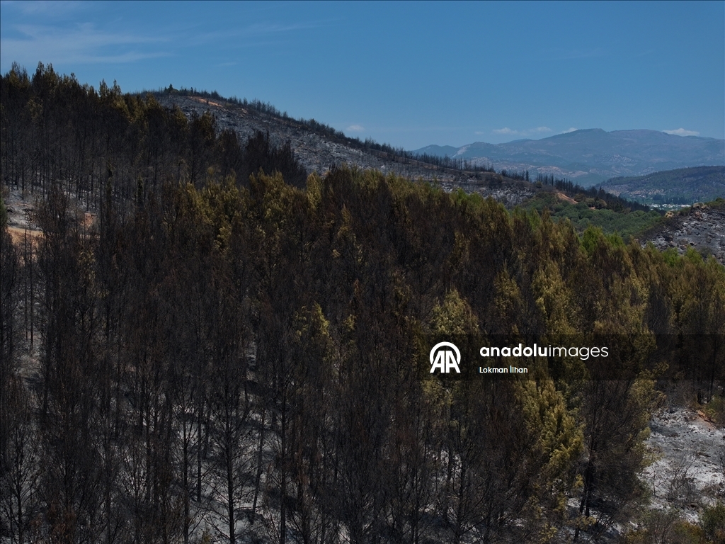 İzmir'deki orman yangınından etkilenen bölgeler