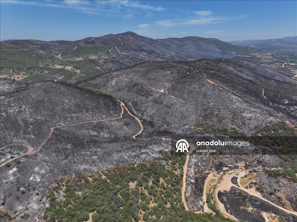 İzmir'deki orman yangınından etkilenen bölgeler