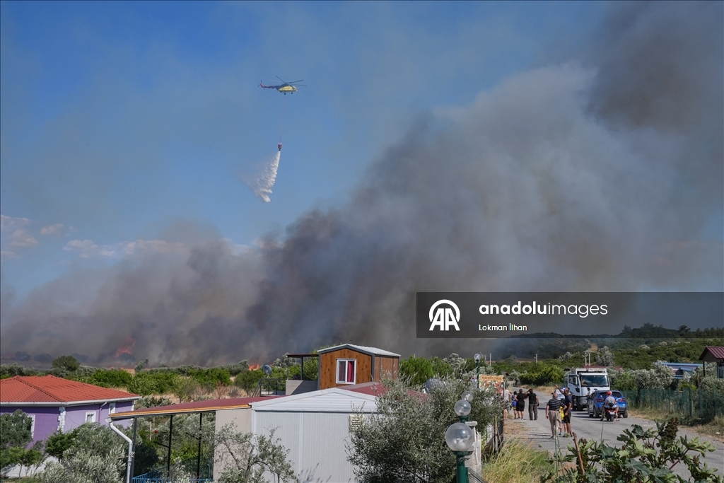 İzmir'de makilik alanda çıkan yangına müdahale ediliyor