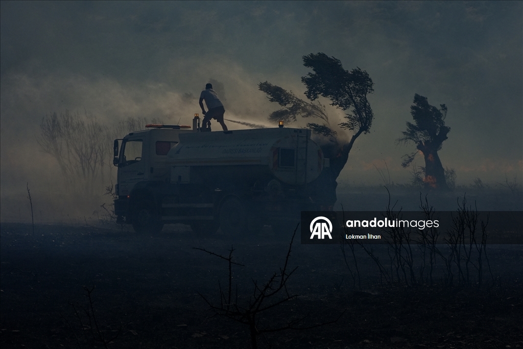 İzmir'de makilik alanda çıkan yangına müdahale ediliyor
