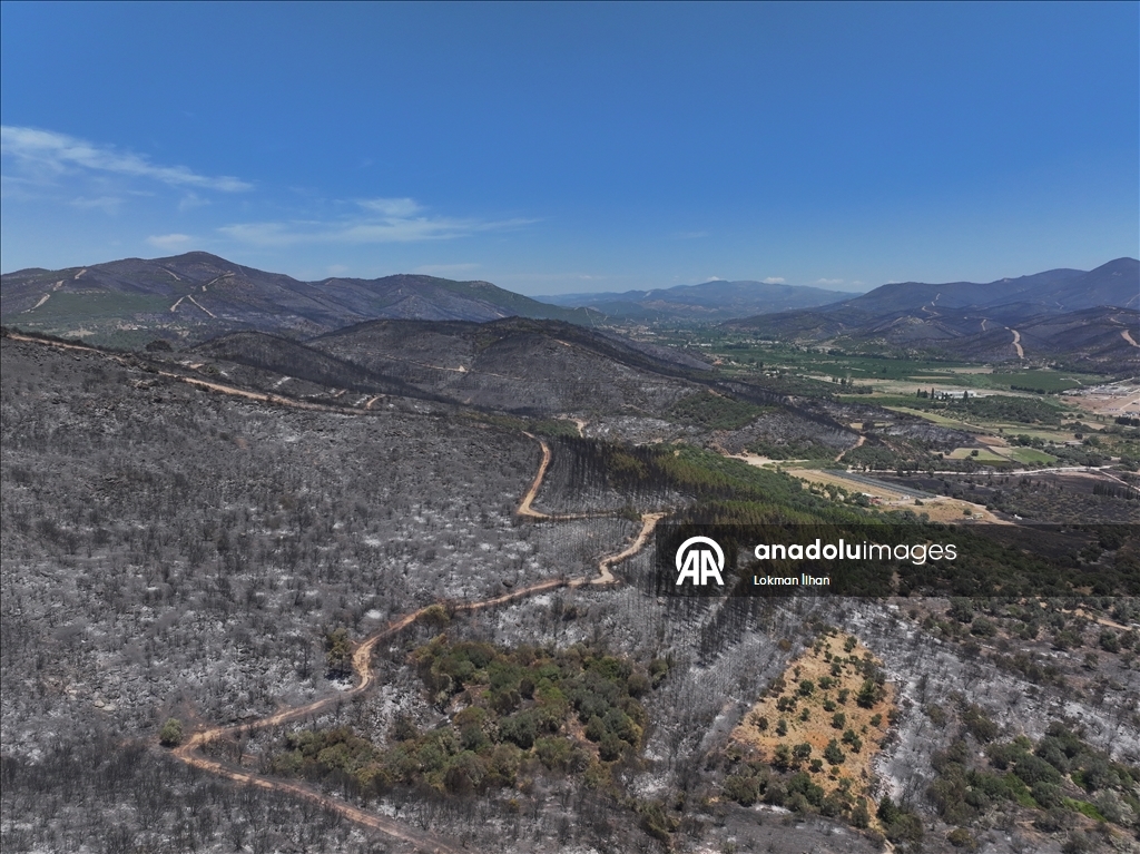 İzmir'deki orman yangınından etkilenen bölgeler