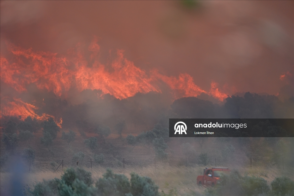 İzmir'de makilik alanda çıkan yangına müdahale ediliyor