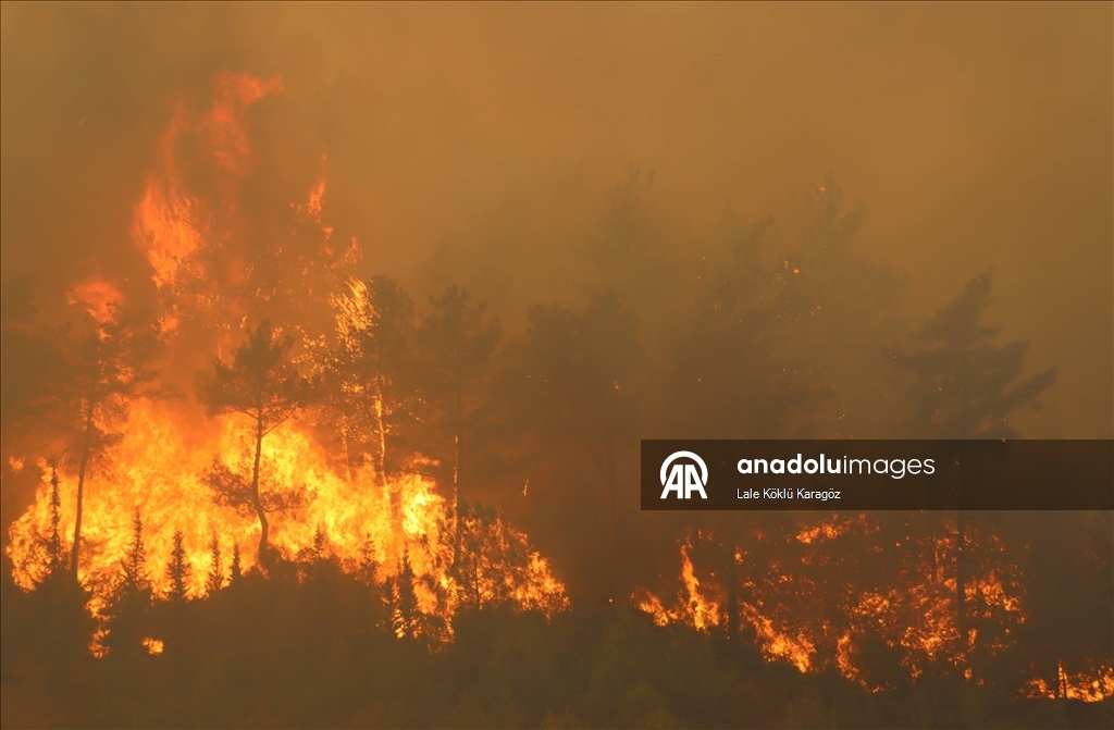 Hatay'da devam eden orman yangınına müdahale sürüyor