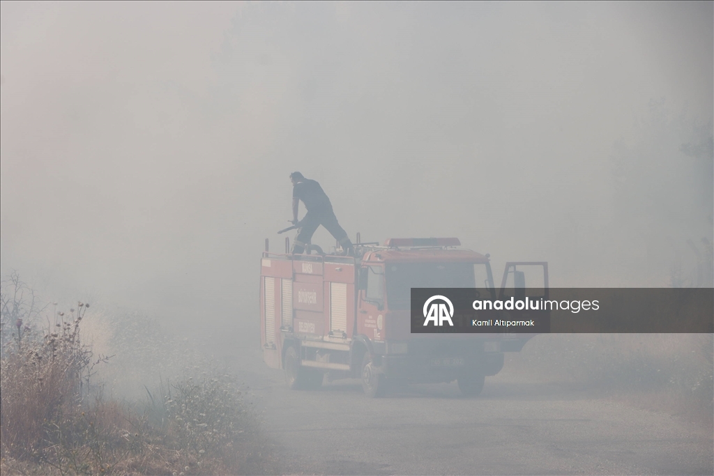Manisa'da 3 ilçedeki orman yangınlarına müdahale sürüyor