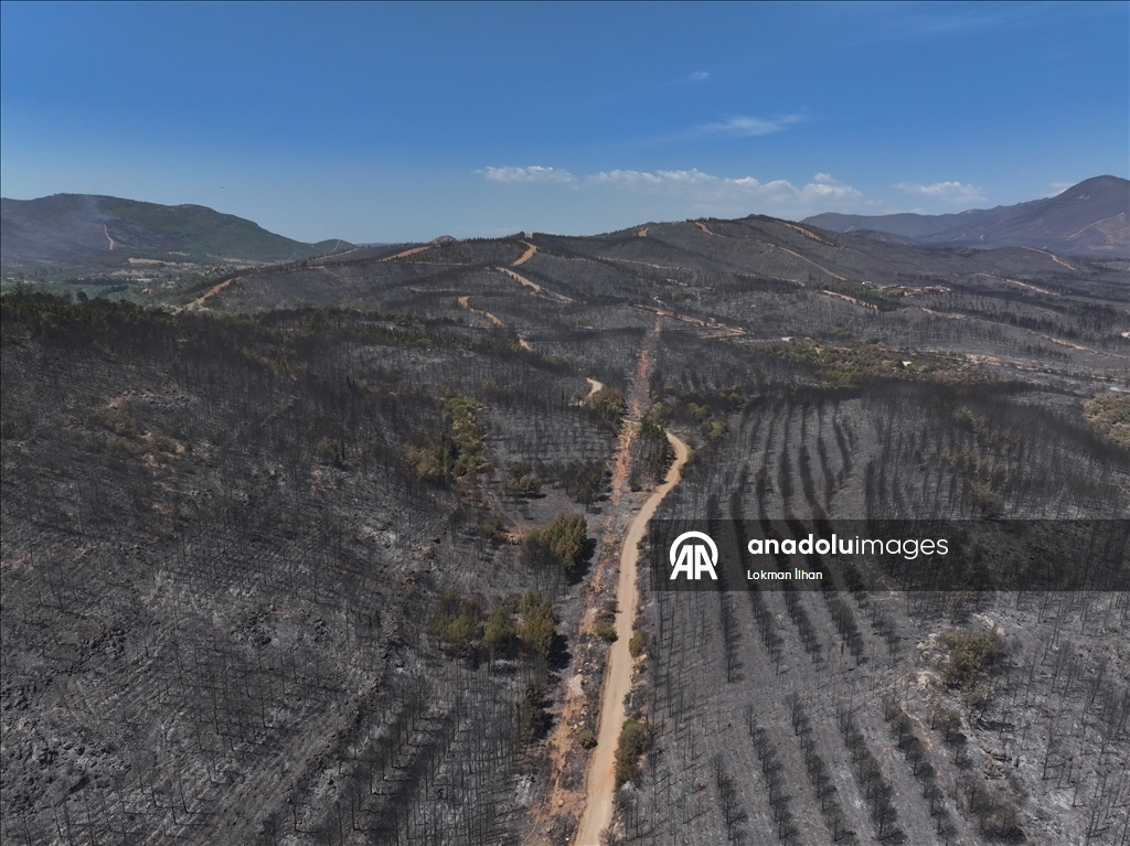 İzmir'deki orman yangınından etkilenen bölgeler
