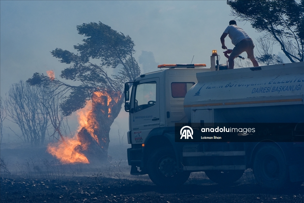 İzmir'de makilik alanda çıkan yangına müdahale ediliyor