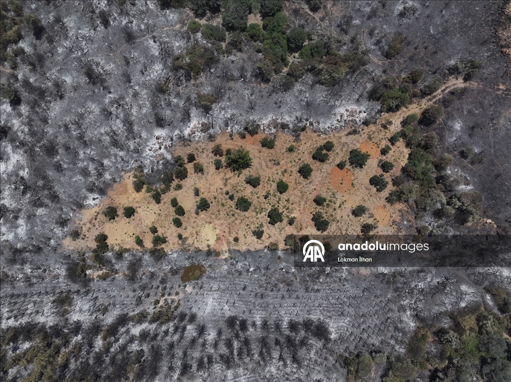 İzmir'deki orman yangınından etkilenen bölgeler