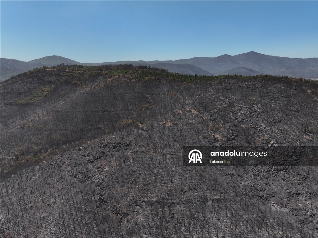 İzmir'deki orman yangınından etkilenen bölgeler