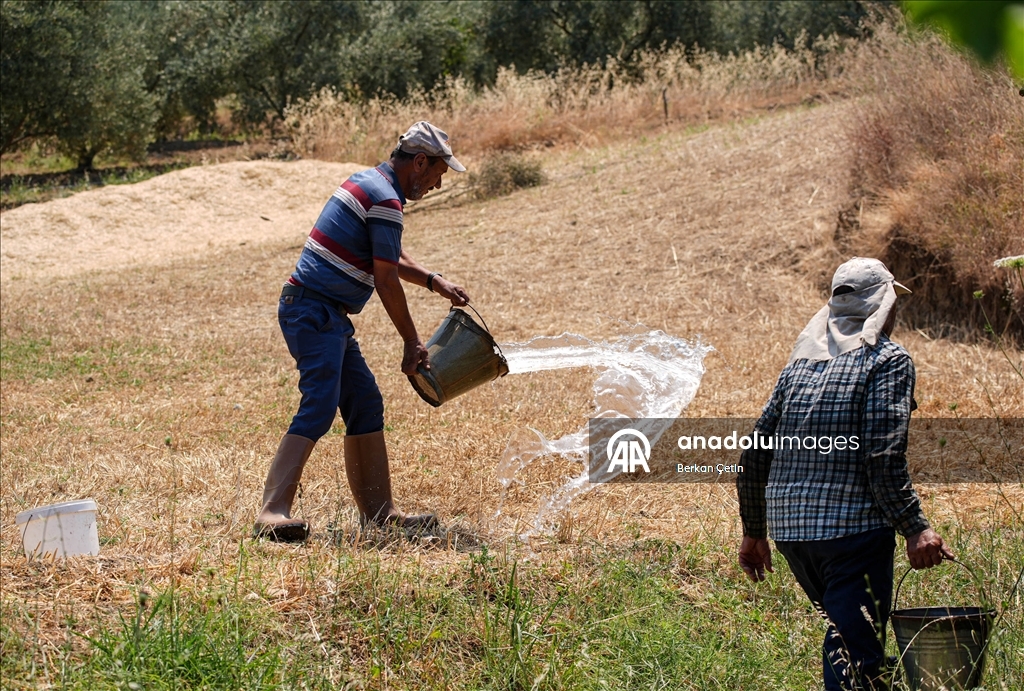 Manisa'da mahalle sakinleri orman yangınının evlerine ulaşmaması için seferber oldu
